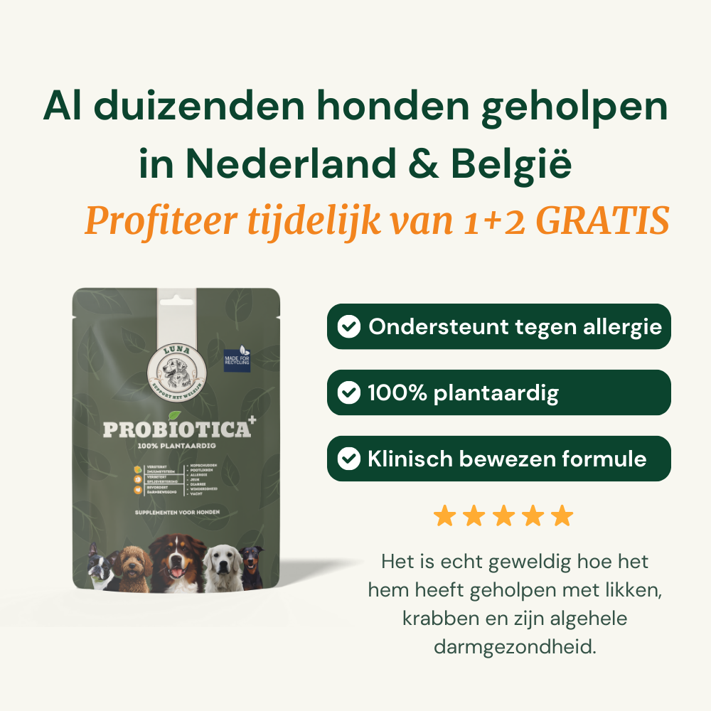 Probiotica voor honden - Zachte snacks tegen Jeuk, Stress & Darmklachten