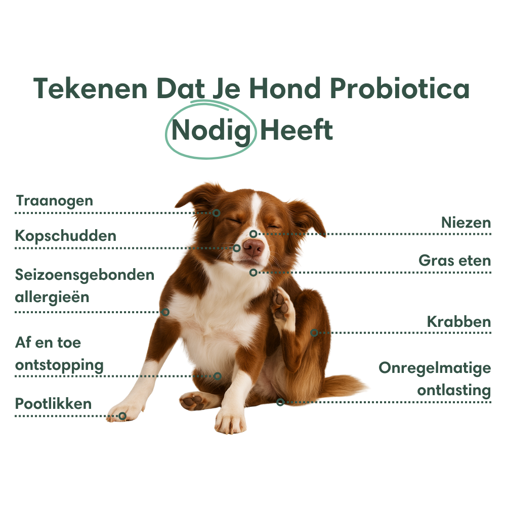 Probiotika+