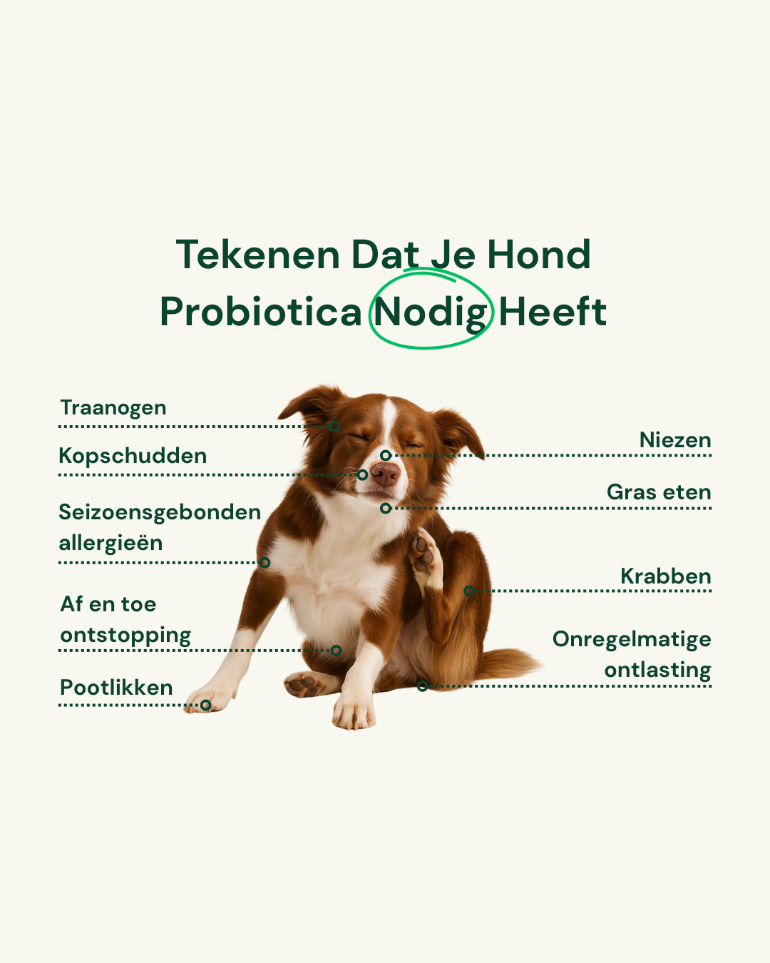 Probiotika+