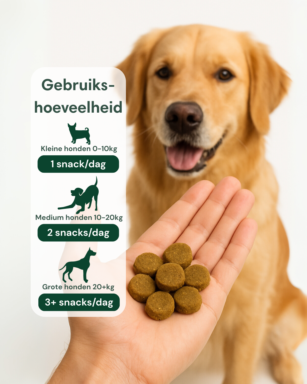 Probiotica voor honden - Zachte snacks tegen Jeuk, Stress & Darmklachten